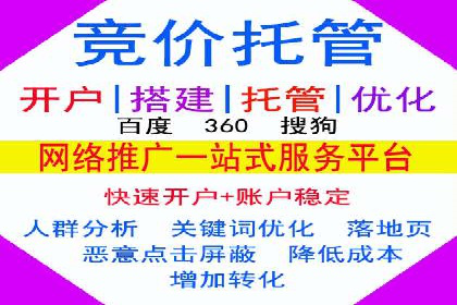 谷歌竞价案例：成功案例分析及启示